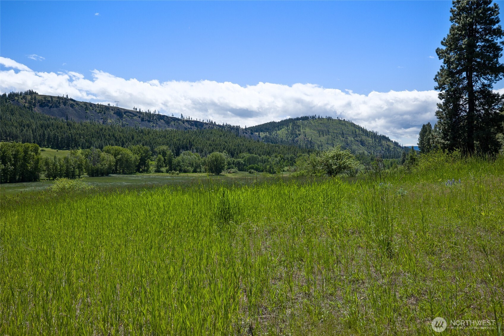 0 Ranch Road Cle Elum, WA 98922 - Photo 13 of 15 Gallery Image 13
