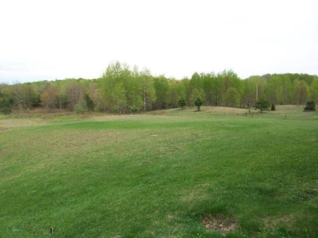 9730 North Saddler Road Luther, MI 49656 - Photo 15 of 15 Additional Photo