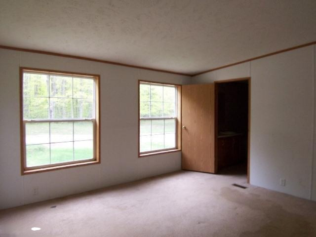 9730 North Saddler Road Luther, MI 49656 - Photo 7 of 15 Additional Photo