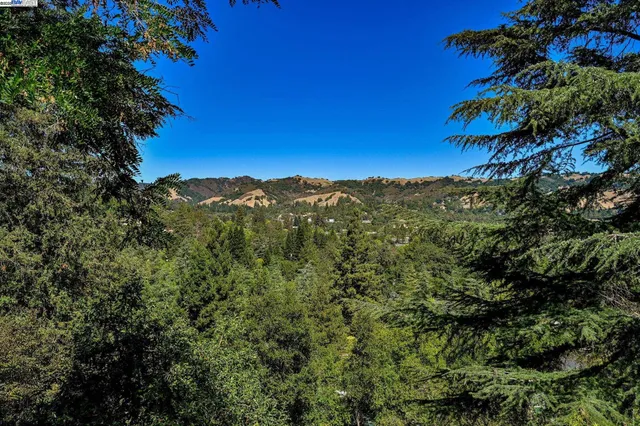 a view of a balcony with potted plants and wooden floor
