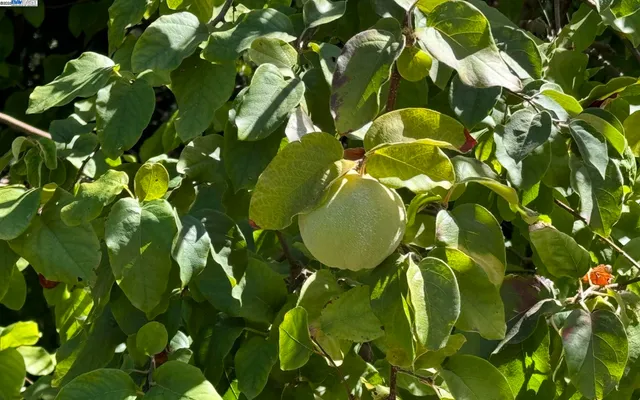 a picture of floor plan