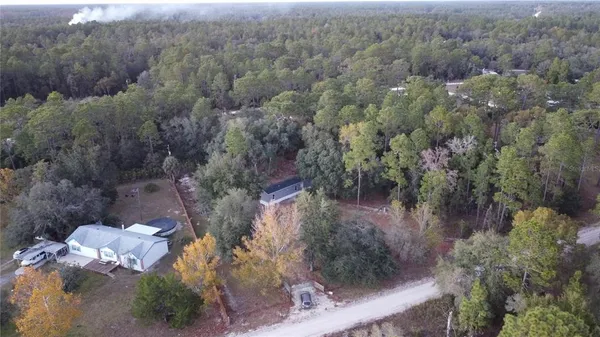 a view of a forest with a yard
