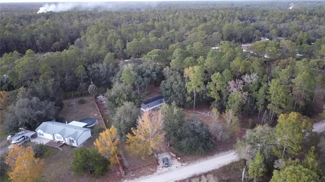 a view of a forest with a yard