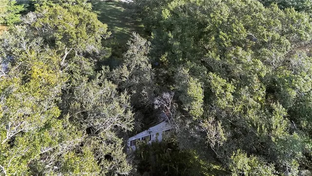a view of a city with lush green forest