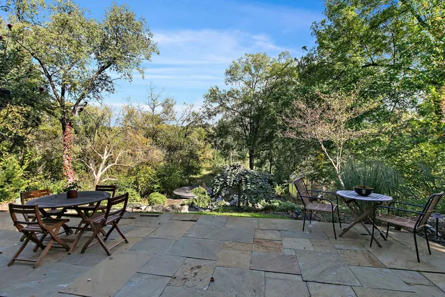 a garden with lots of trees