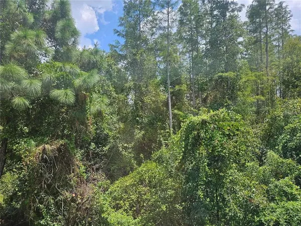 $2,100 | 1120 Blackwater Drive, Wesley Chapel, FL 33543