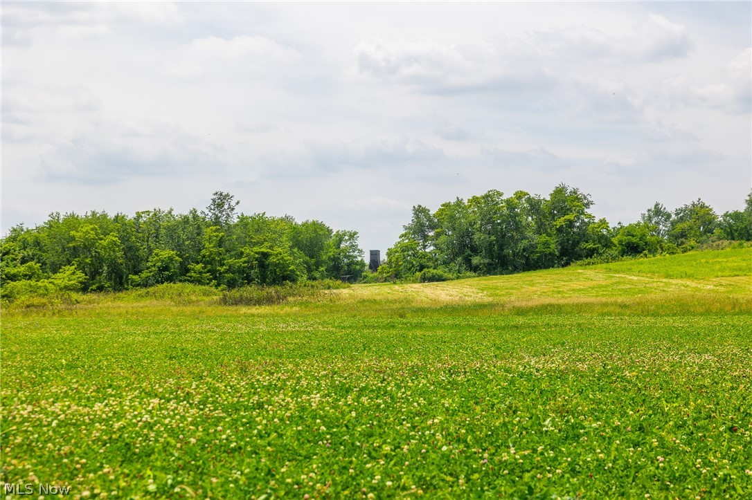 72645 Henderson Ridge Road St. Clairsville, OH 43950 - Photo 41 of 50