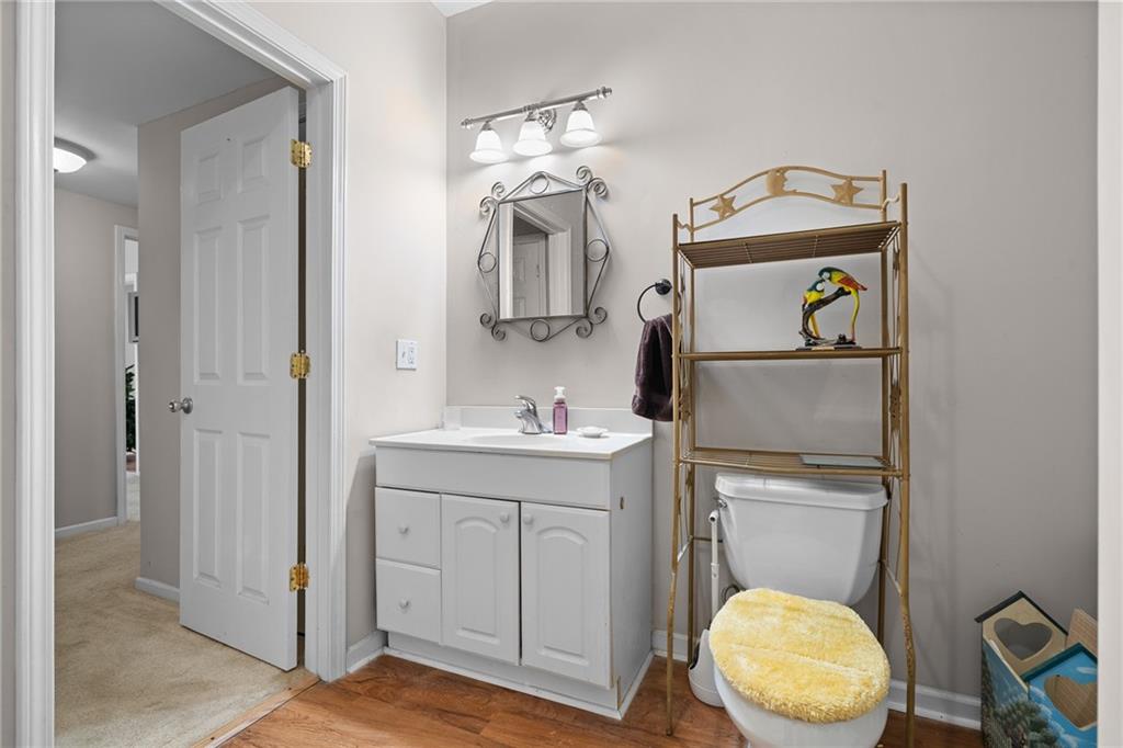 8935 Mountain Ridge Circle Ball Ground, GA 30107 - Photo 30 of 56 a bathroom with a toilet a sink and a mirror