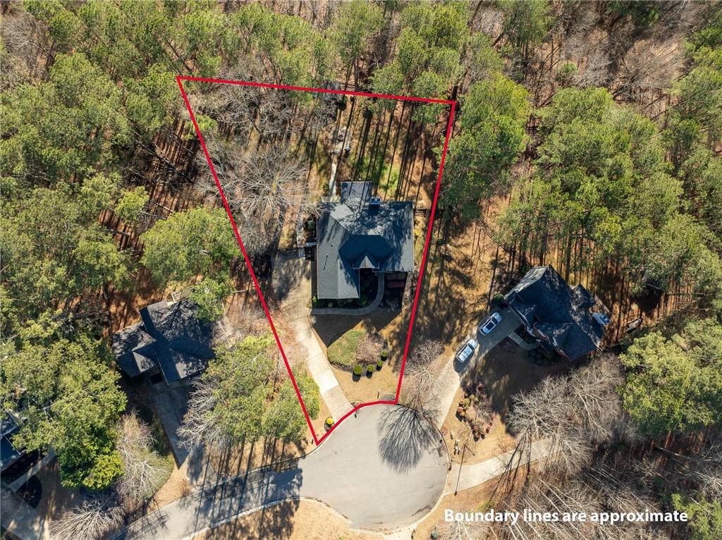 8935 Mountain Ridge Circle Ball Ground, GA 30107 - Photo 42 of 56