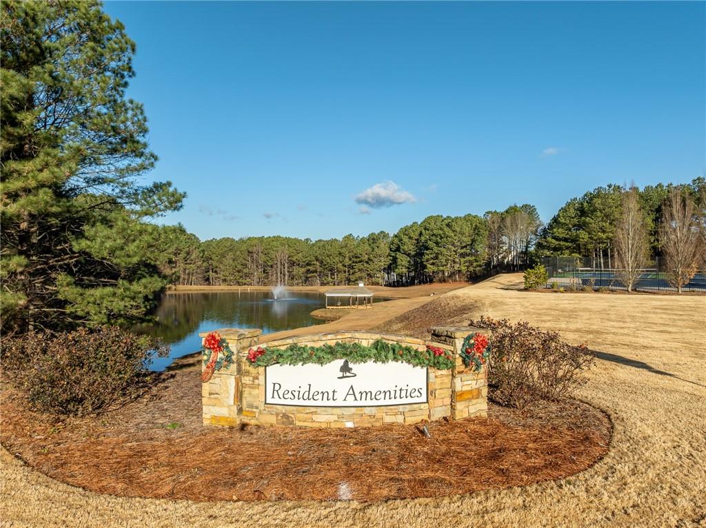 8935 Mountain Ridge Circle Ball Ground, GA 30107 - Photo 56 of 56 a view of a lake with a mountain in the background