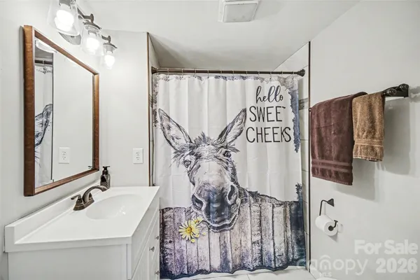 a bathroom with a sink and mirror