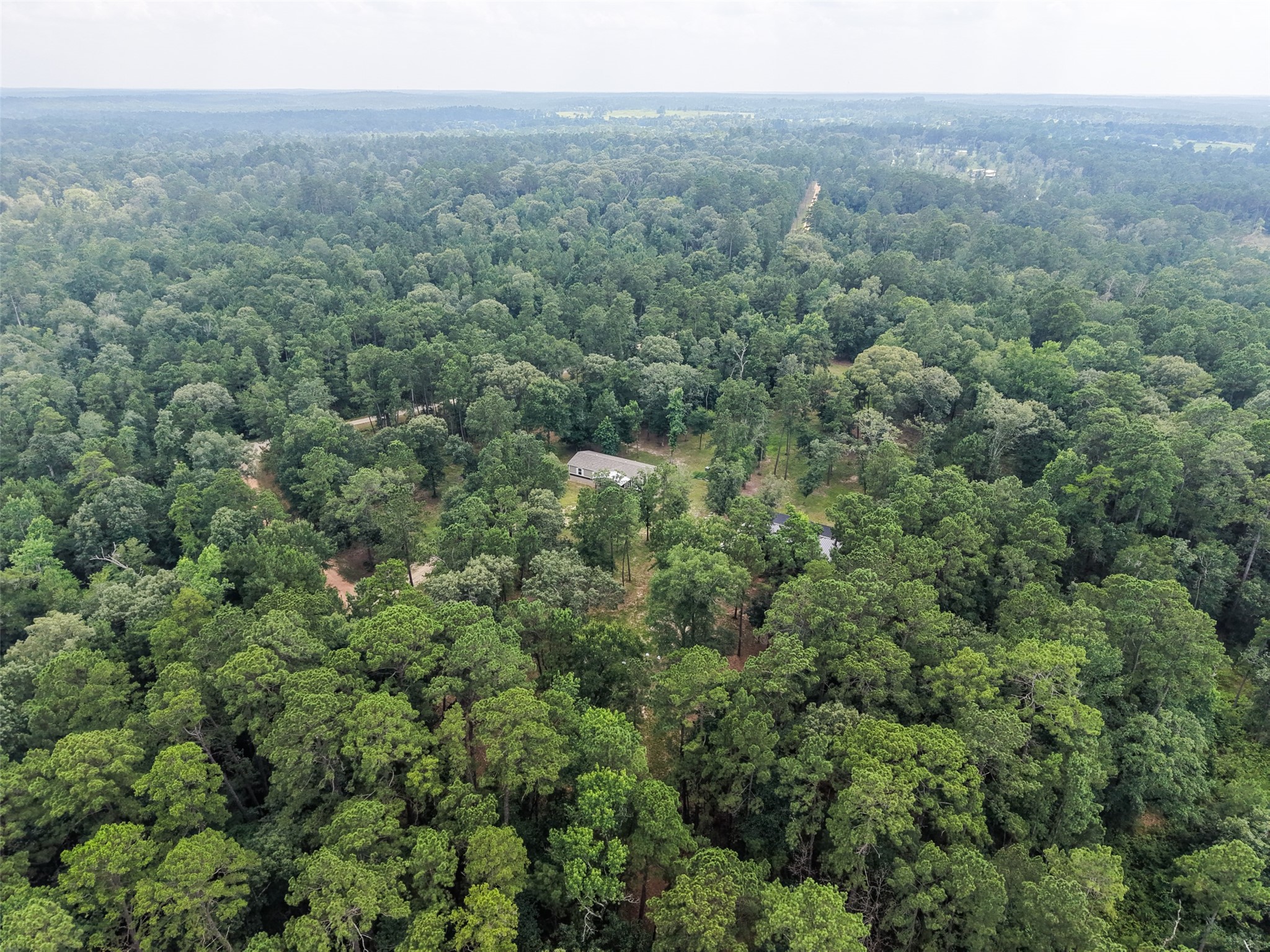 577 Winding River Road South Oakhurst, TX 77359 - Photo 37 of 44