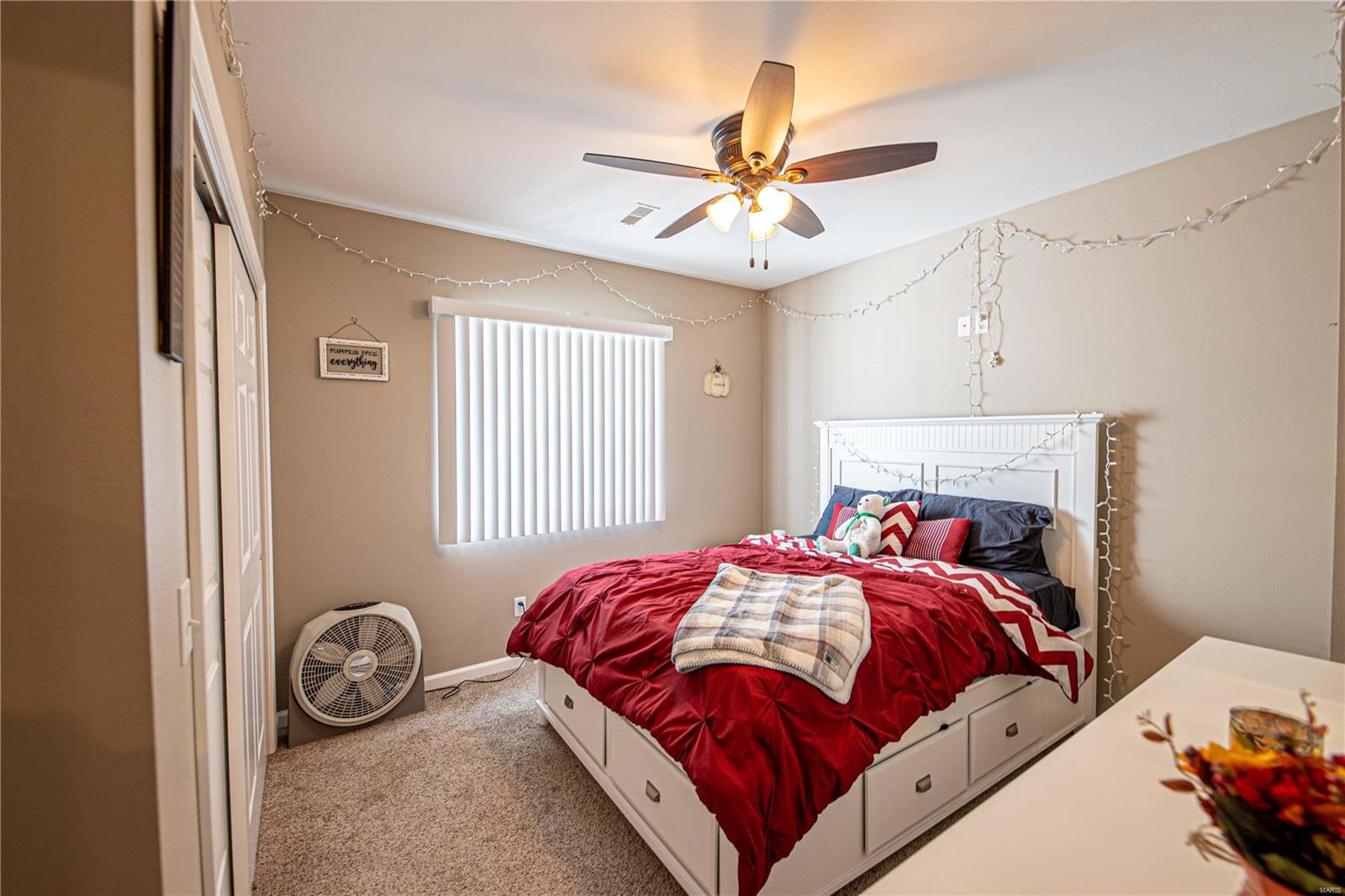 13908 Schuster Road Pocahontas, IL 62275 - Photo 27 of 28