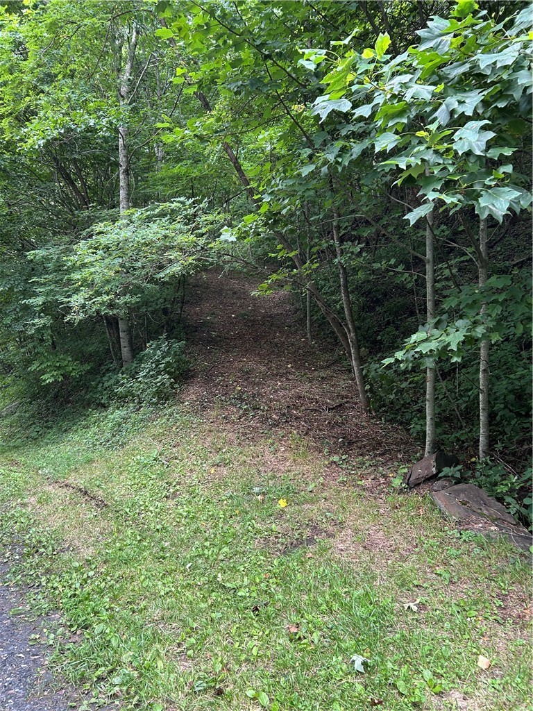 Little Tree Road West Jefferson, NC 28694 - Photo 3 of 20 Gallery Image 3