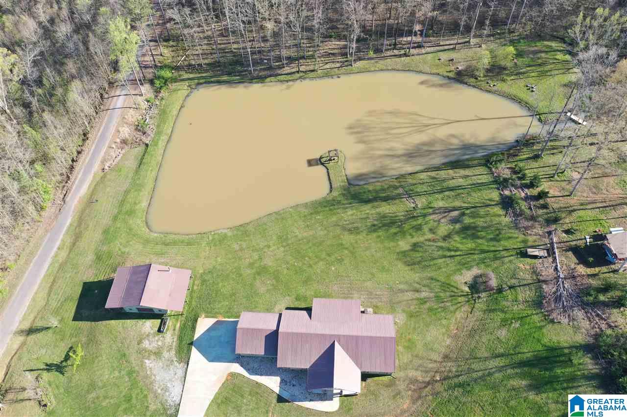 65 County Road 910 Delta, AL 36258 - Photo 33 of 38
