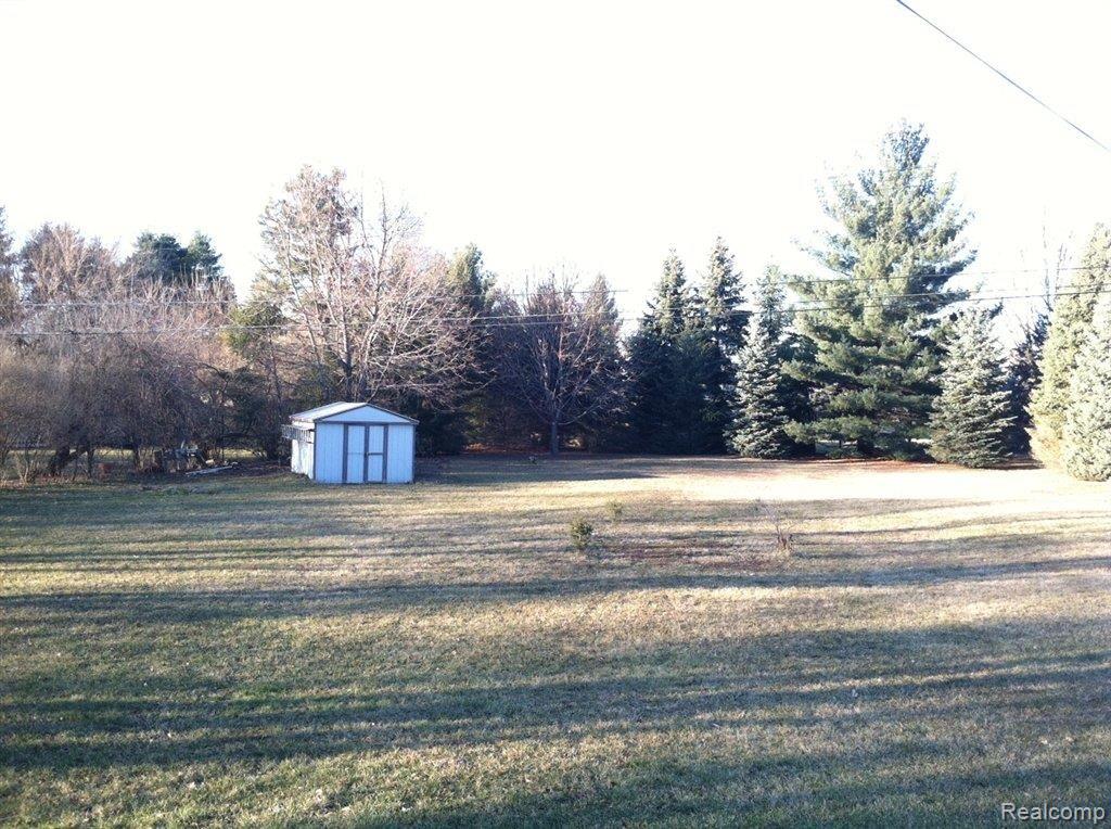 Back Yard.jpg