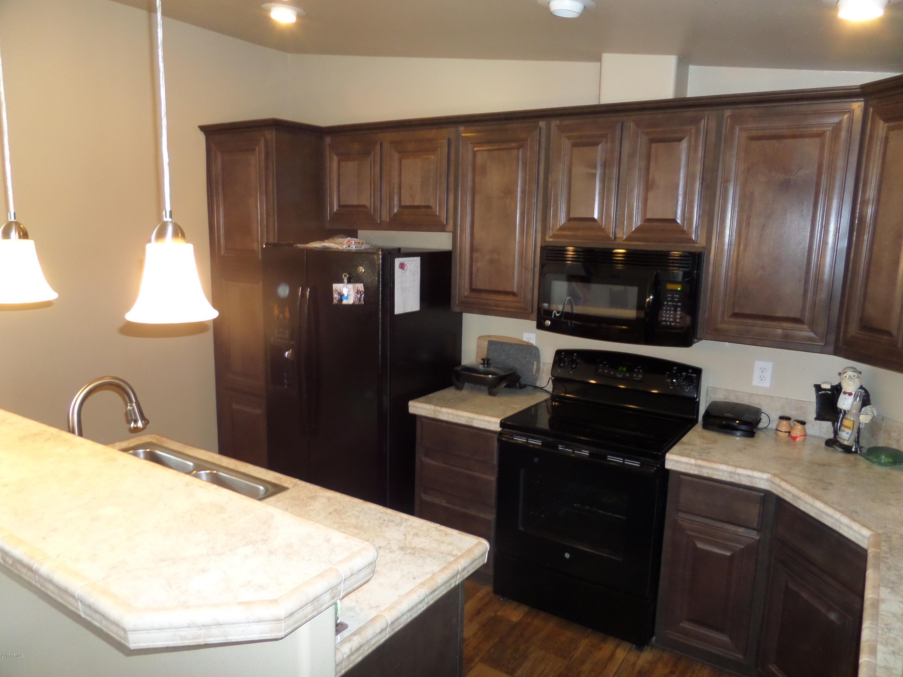 155 South Colt Road Apache Junction, AZ 85119 - Photo 7 of 17 SAM_0859