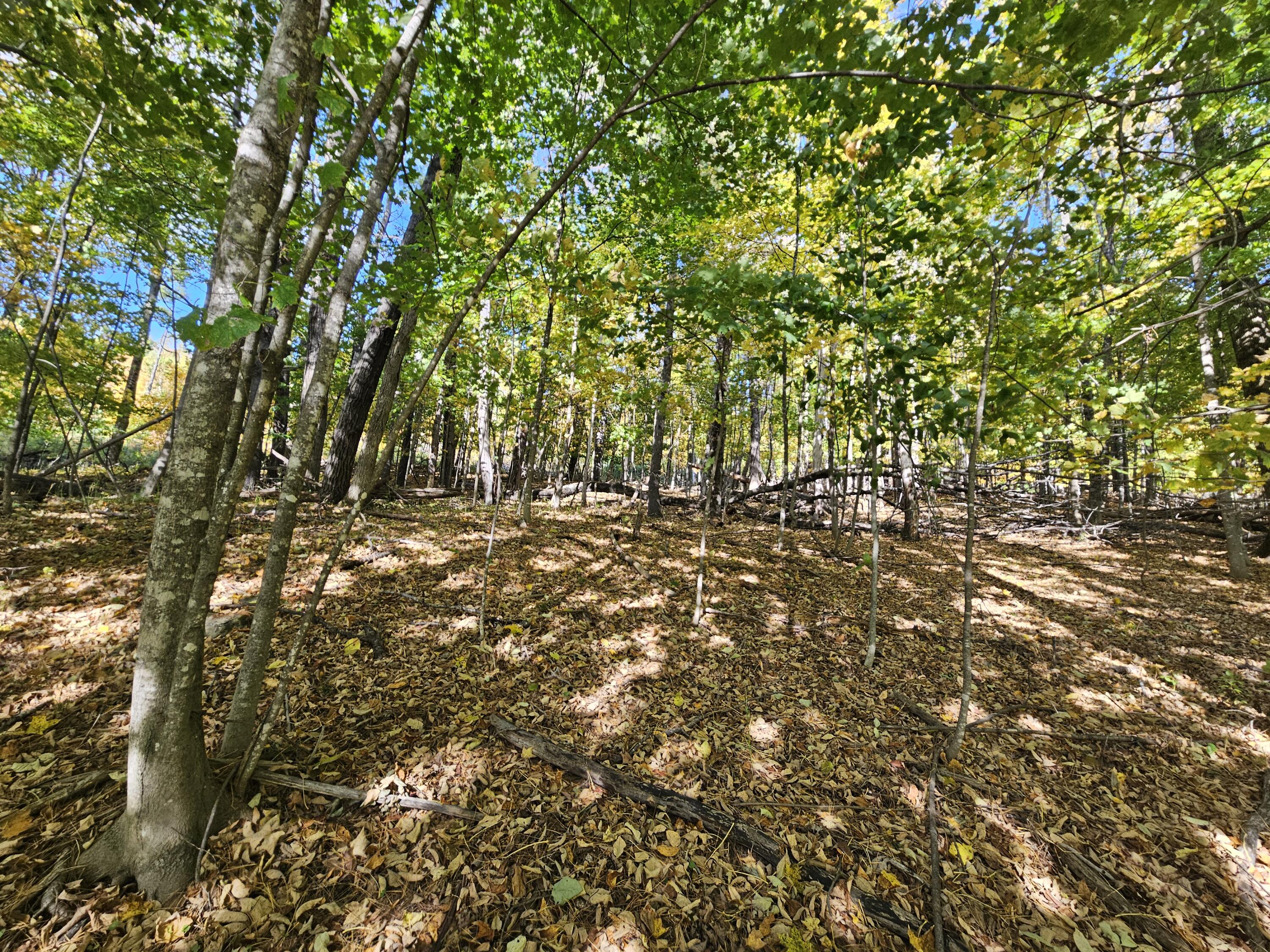 R-5-13-a Norton Hill Road Strong, ME 04983 - Photo 12 of 19 20250928_151411