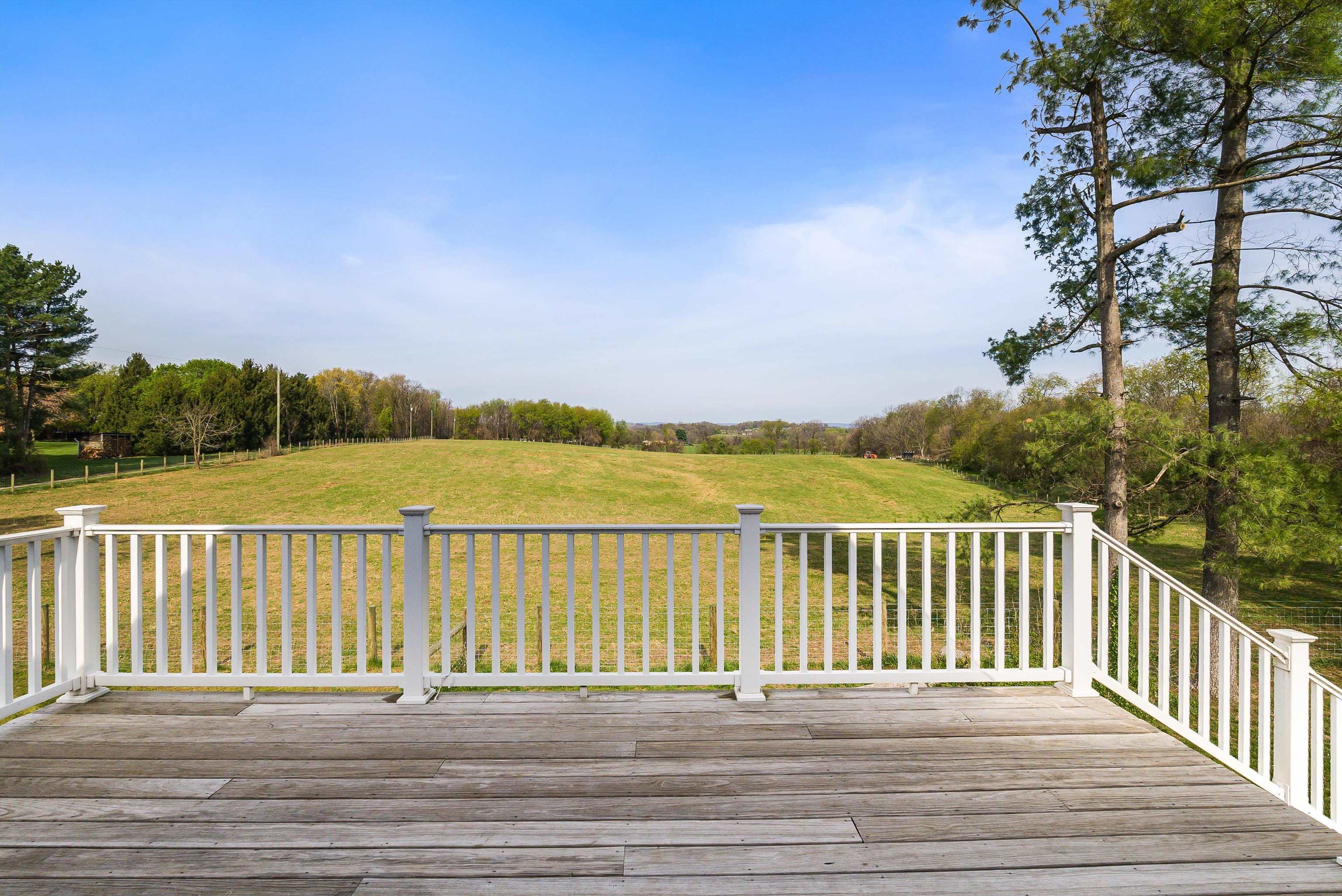 574 Jiggady Road New Market, VA 22844 - Photo 40 of 75