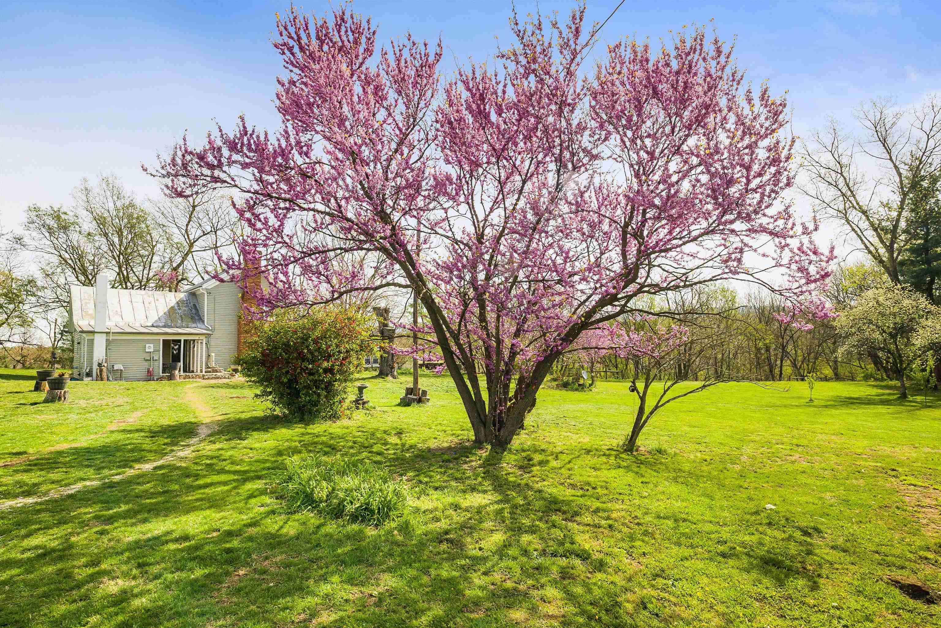 574 Jiggady Road New Market, VA 22844 - Photo 49 of 75