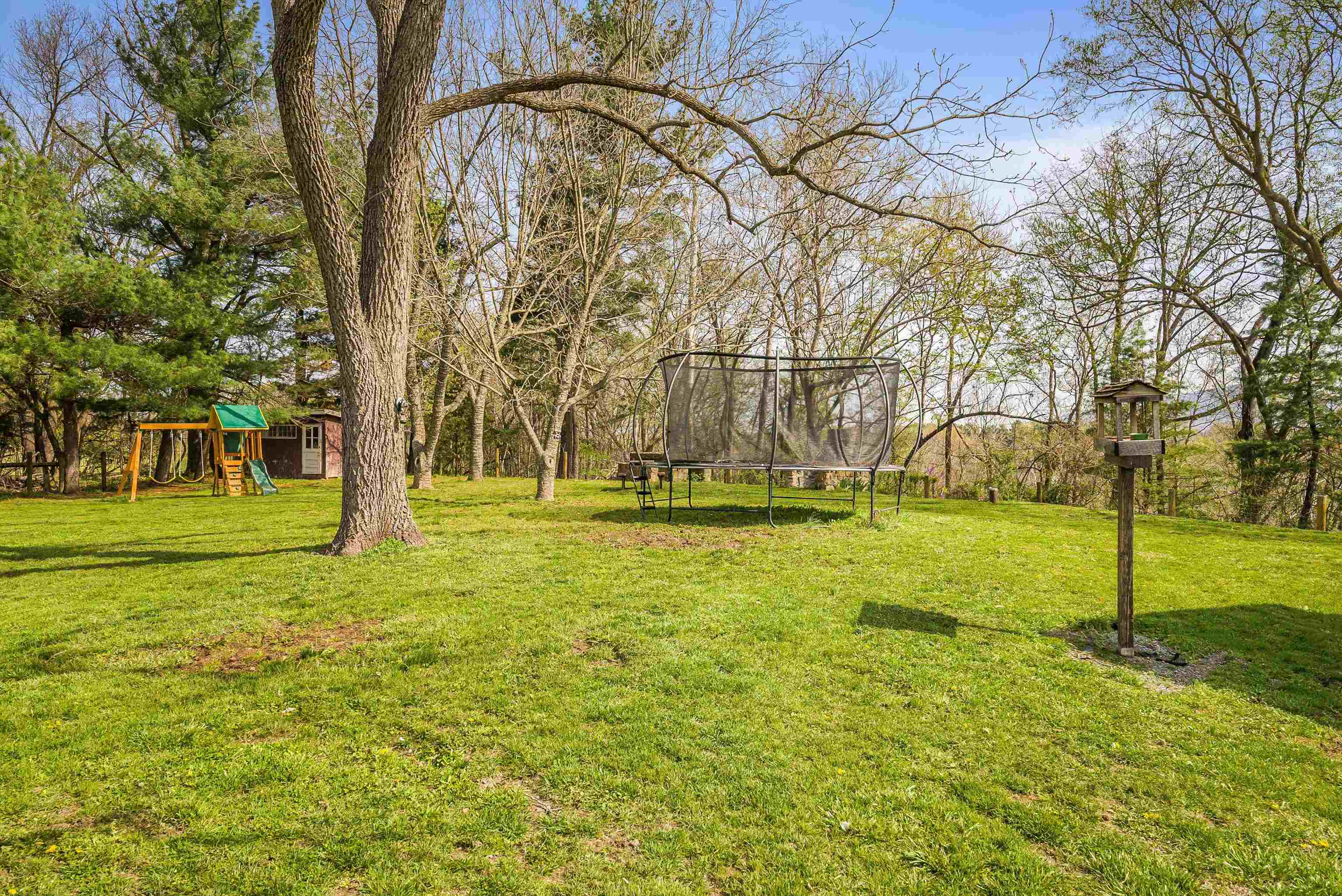 574 Jiggady Road New Market, VA 22844 - Photo 50 of 75