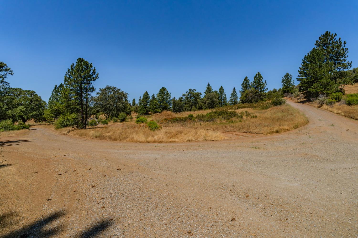 7559 Alamo Rd Mountain Ranch Mountain Ranch, CA 95246 - Photo 4 of 27