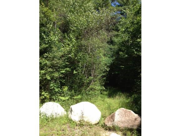 Lot 28 Pine River Road Effingham, NH 03882 - Photo 1 of 1 Gallery Image 1