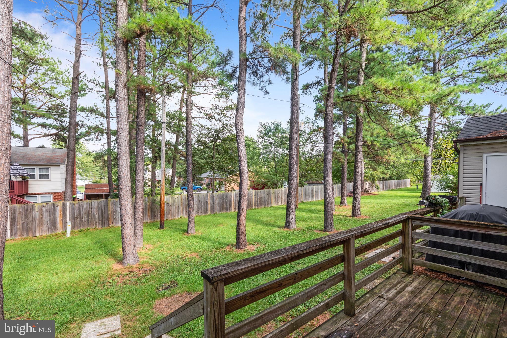 224 Brunswick Road Stephens City, VA 22655 - Photo 13 of 15 Gallery Image 13