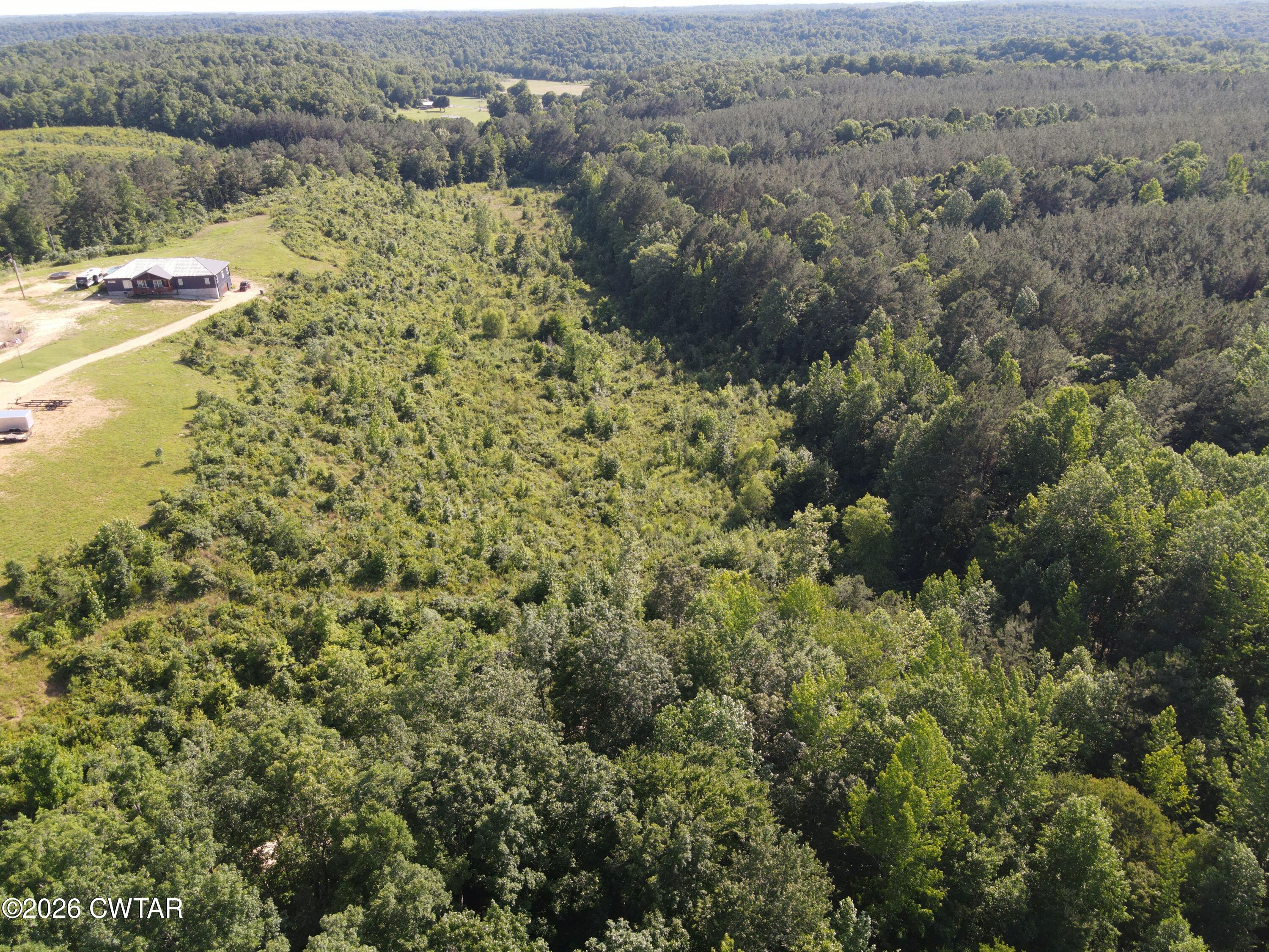 0 Walter Mills Road Sugar Tree, TN 38380 - Photo 9 of 15 DJI_0555.JPGR