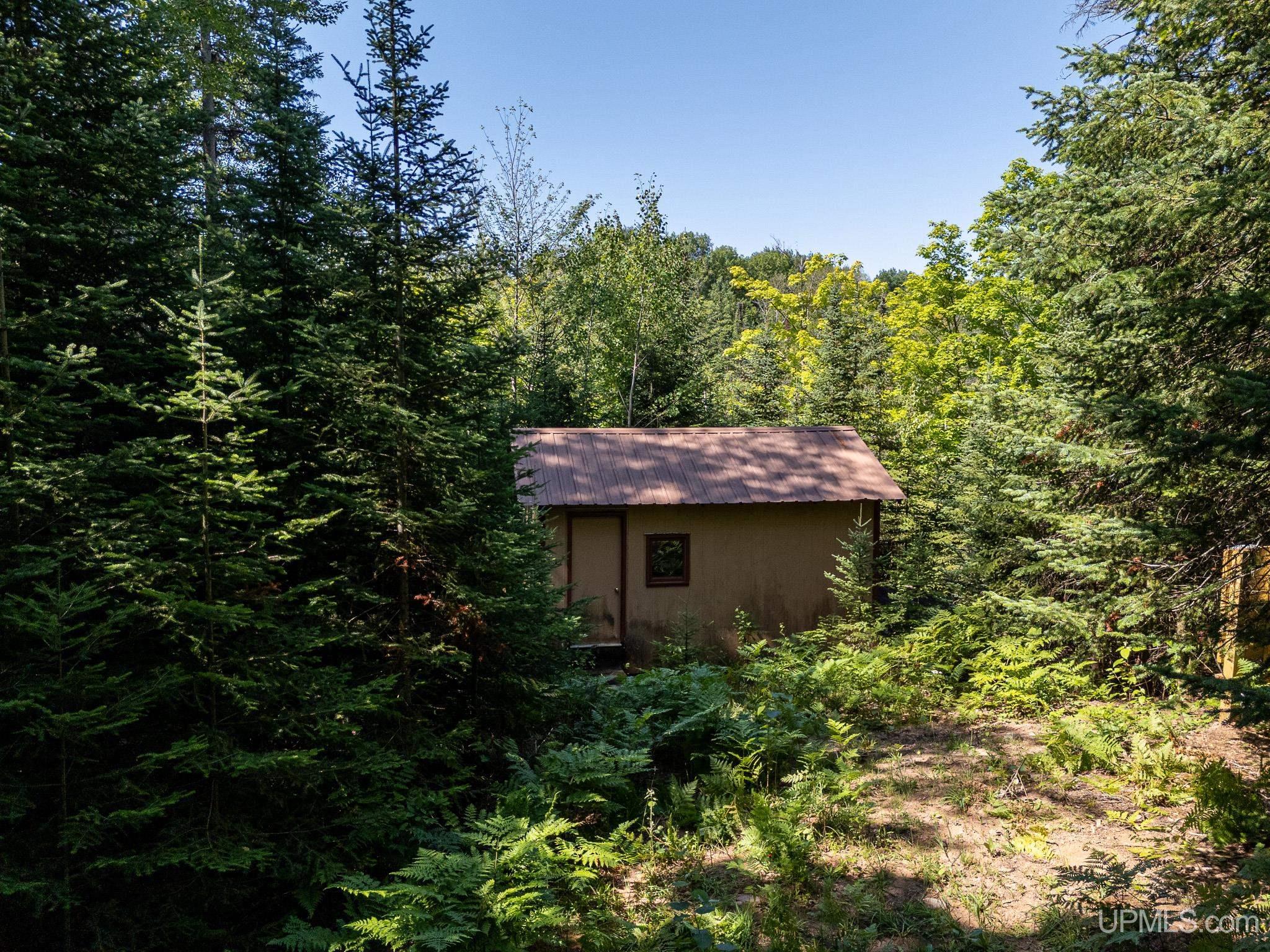 Tbd Tbd Chaney Lake Road Bessemer, MI 49911 - Photo 11 of 22