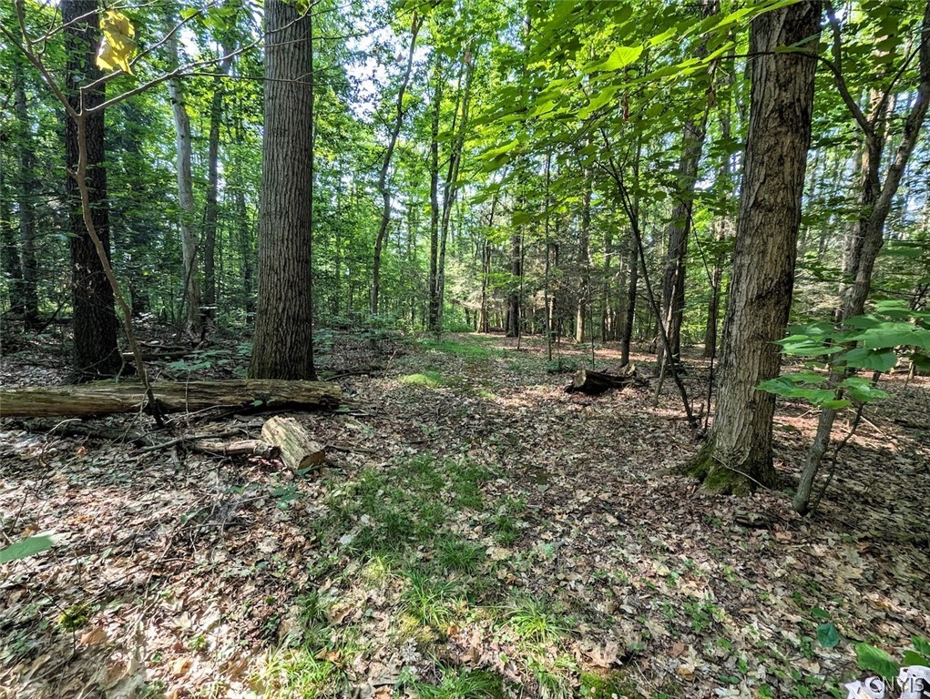 8880 Hemlock Road Wheeler, NY 14809 - Photo 26 of 50
