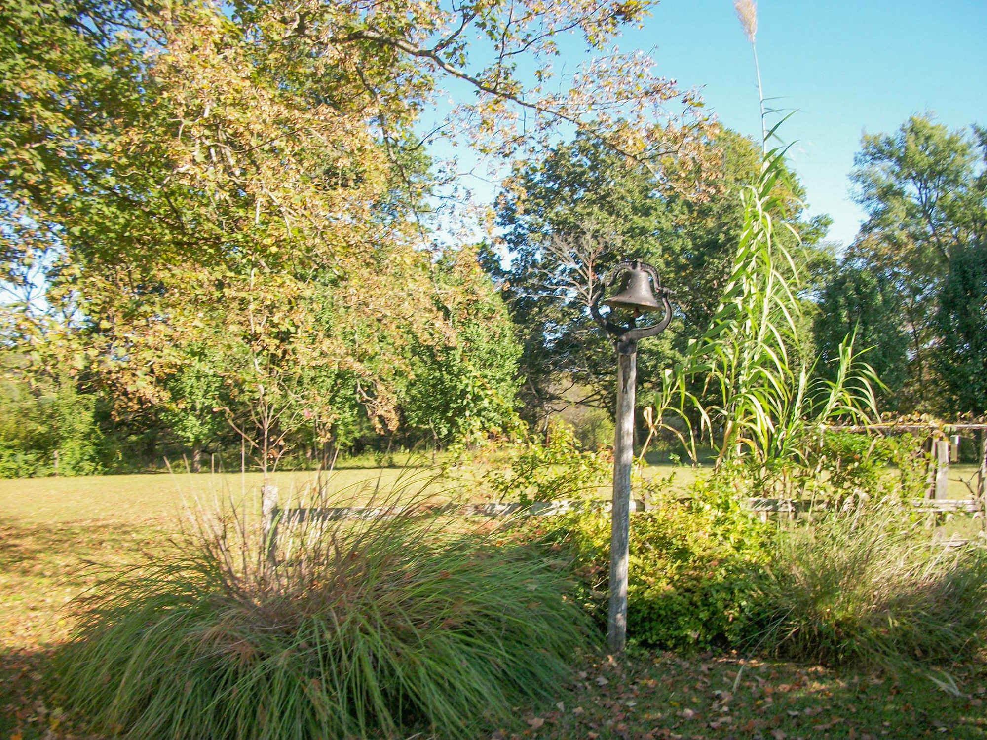 9670 Panther Creek Road Christiana, TN 37037 - Photo 13 of 16 a view of a yard