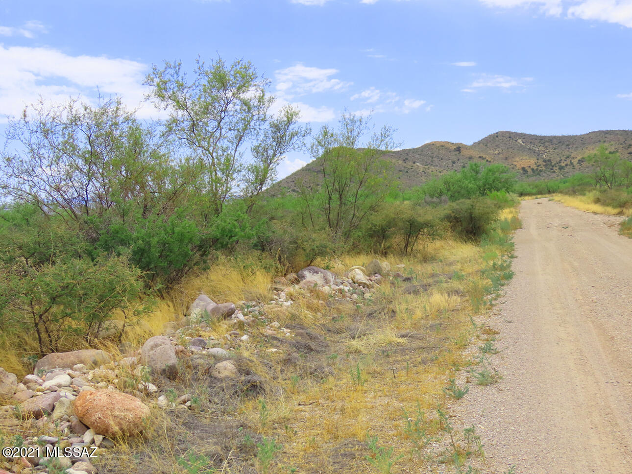 Tbd South Prairie Road, Unit 3 San Simon, AZ 85632 - Photo 4 of 7