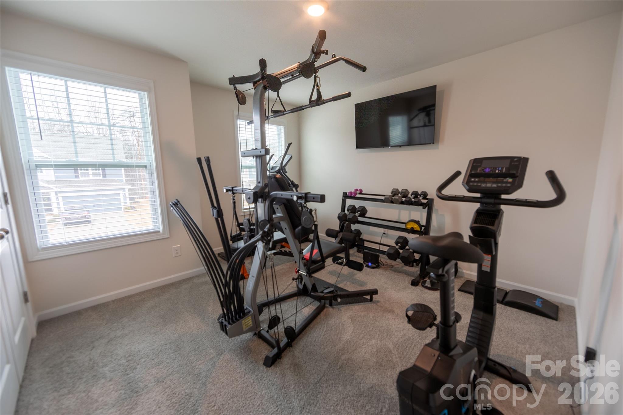 151 Aviendha Lane Troutman, NC 28166 - Photo 31 of 43 a view of a room with gym equipment
