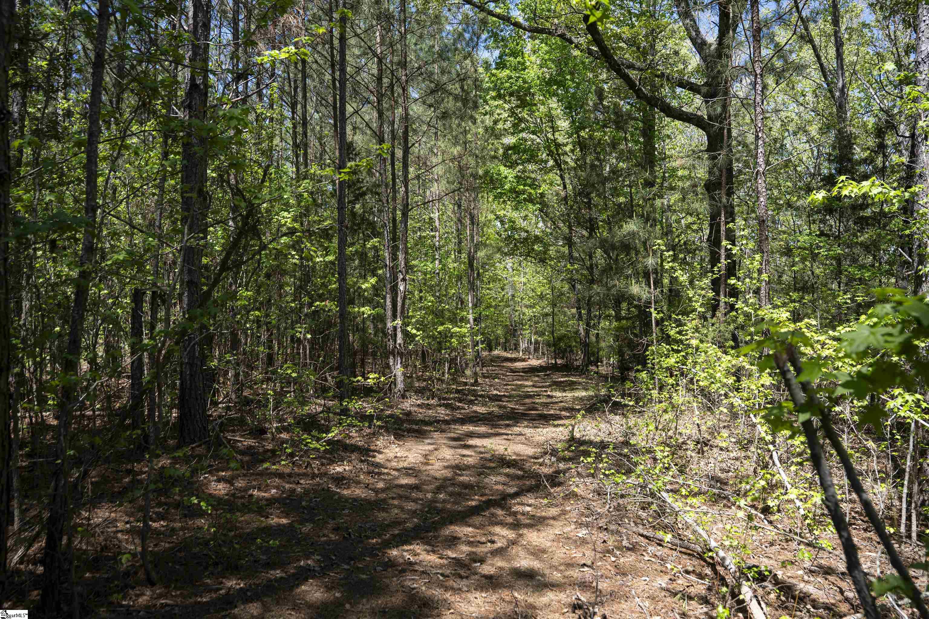 0 Loftis Road Abbeville, SC 29620 - Photo 12 of 27 Gallery Image 12