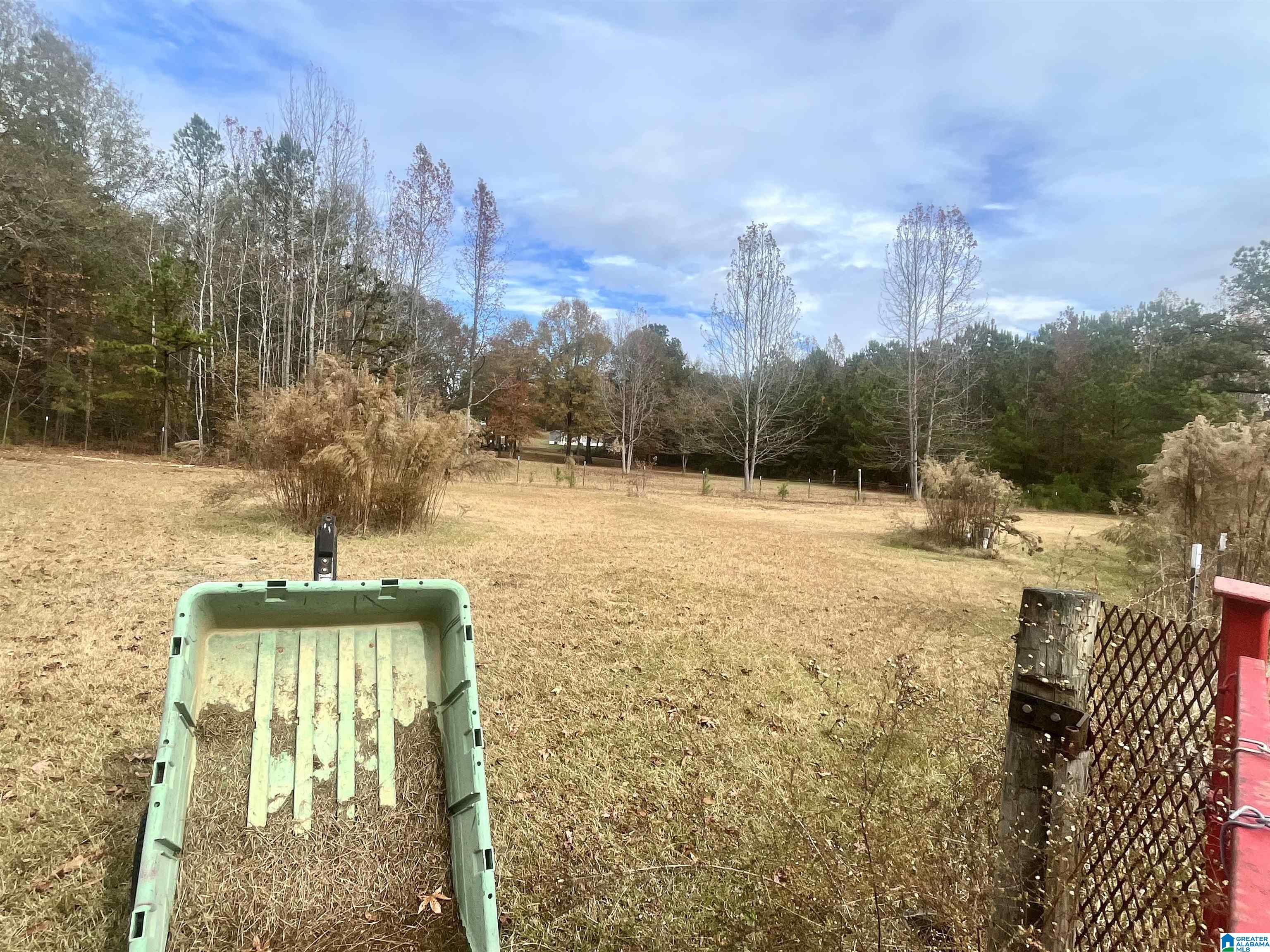 1010 Campbell Road Munford, AL 36268 - Photo 55 of 56