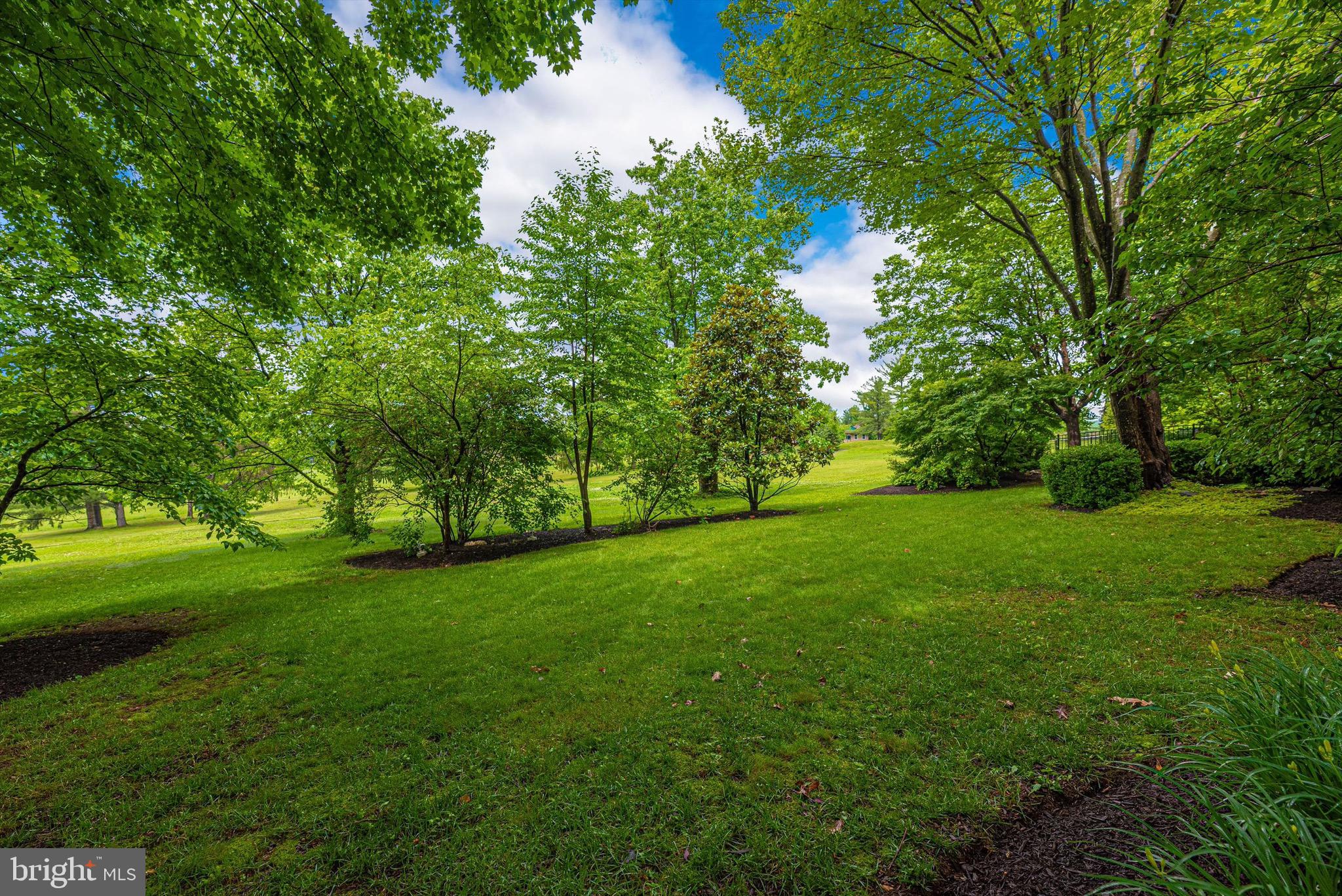 11314 Country Club Road New Market, MD 21774 - Photo 60 of 82 Gallery Image 60