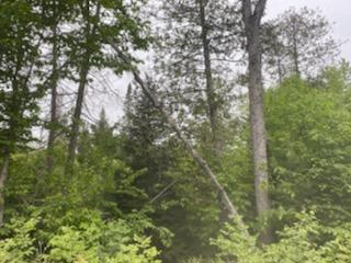 Lot1699 Spruce Pond Road Bingham, ME 04920 - Photo 3 of 3 IMG_5807-preview