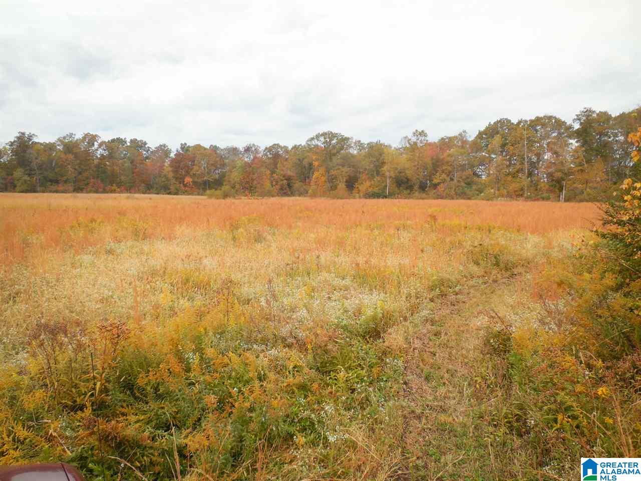 341 Happy Knoll Road Ashville, AL 35953 - Photo 45 of 47