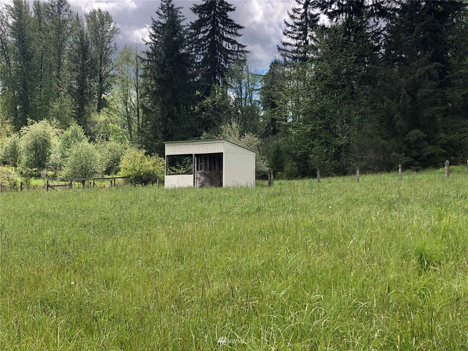 14331 Solberg Road Southeast Yelm, WA 98597 - Photo 4 of 16 Gallery Image 4