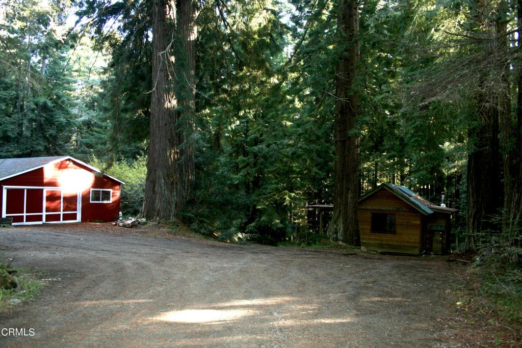 32567 Albion Ridge Road, Unit C Albion, CA 95410 - Photo 1 of 1 a view of house with a yard and large trees