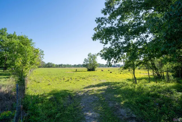 $825,000 | 63-acres Heck Young Road, Baker, LA 70714