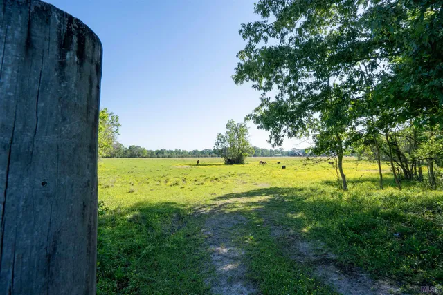 $825,000 | 63-acres Heck Young Road, Baker, LA 70714