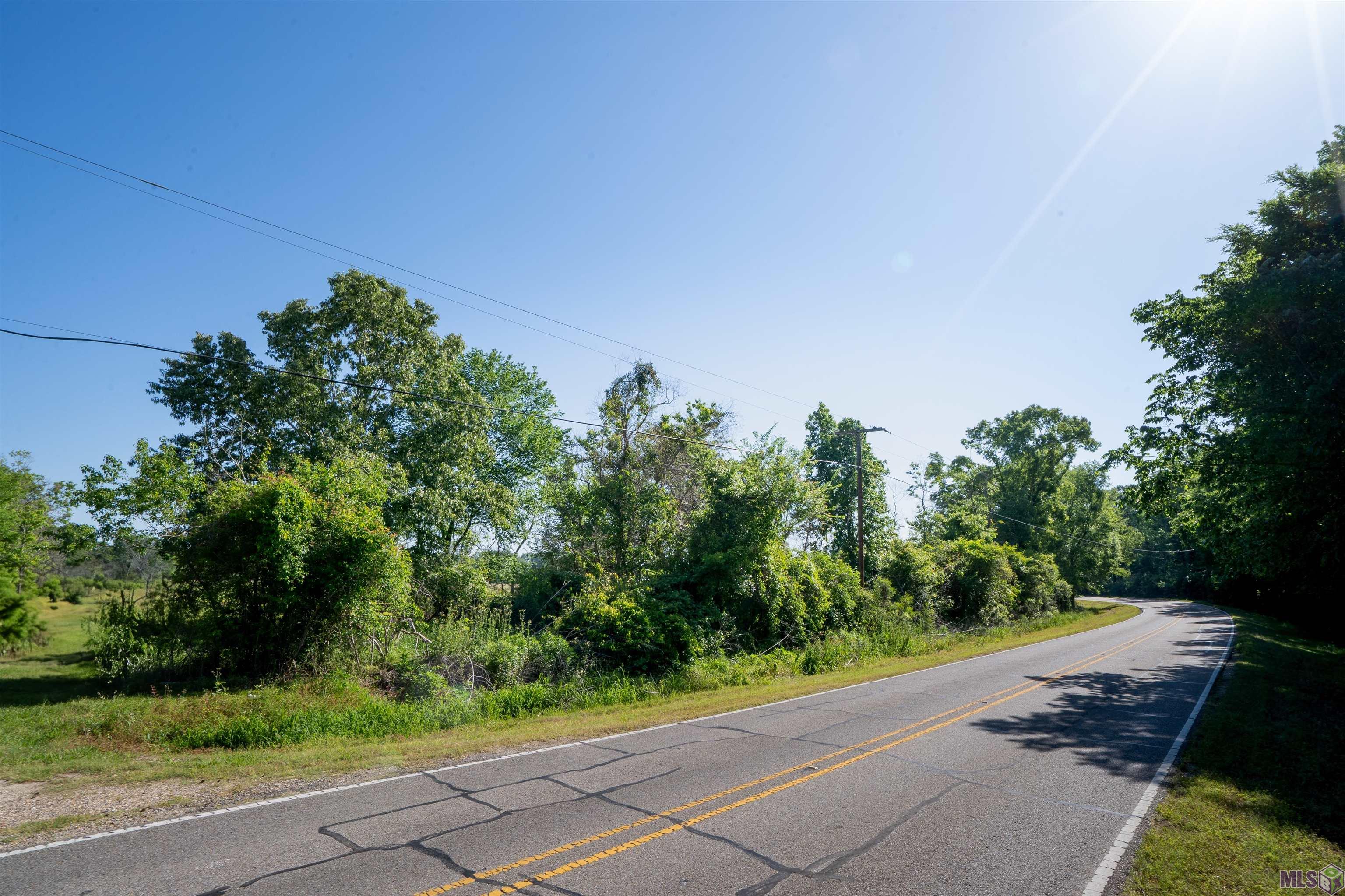 63-acres Heck Young Road Baker, LA 70714 - Photo 14 of 17