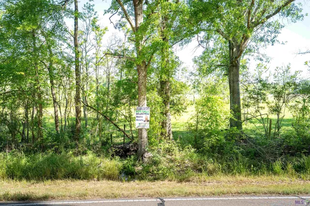 $825,000 | 63-acres Heck Young Road, Baker, LA 70714