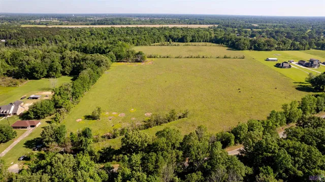 $825,000 | 63-acres Heck Young Road, Baker, LA 70714