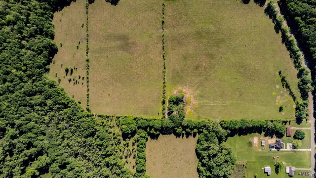 $825,000 | 63-acres Heck Young Road, Baker, LA 70714