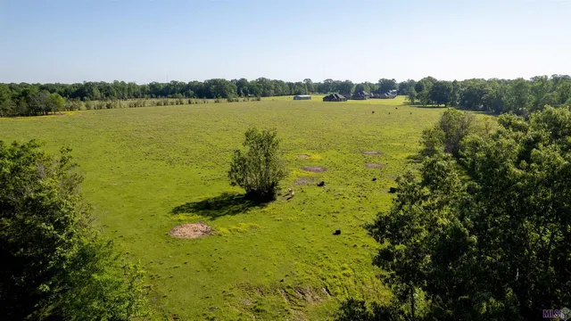 $825,000 | 63-acres Heck Young Road, Baker, LA 70714