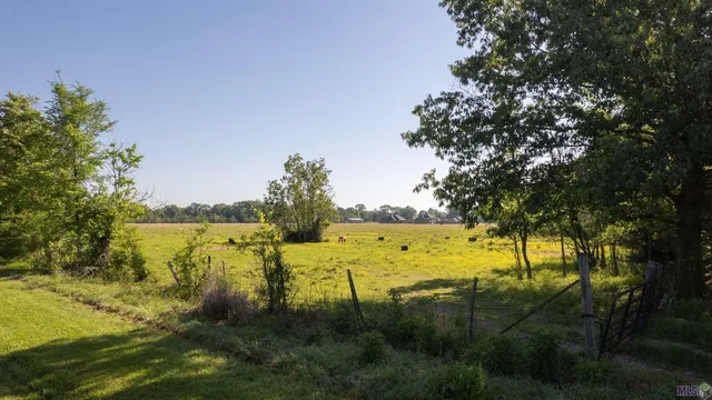 $825,000 | 63-acres Heck Young Road, Baker, LA 70714