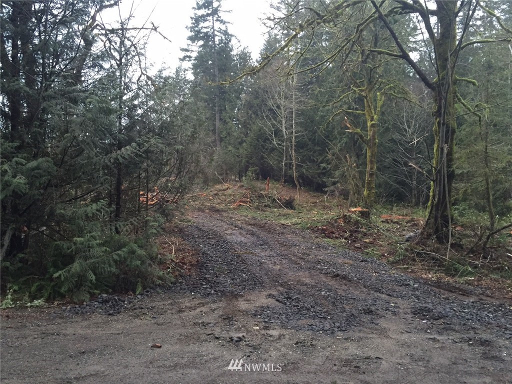0 Reeves Road Southwest Lakebay, WA 98349 - Photo 1 of 4 Gallery Image 1